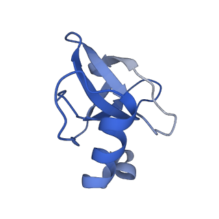34860_8hku_L141_v1-0
Cryo-EM Structures and Translocation Mechanism of Crenarchaeota Ribosome