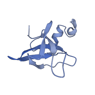 34860_8hku_L142_v1-0
Cryo-EM Structures and Translocation Mechanism of Crenarchaeota Ribosome