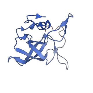 34860_8hku_L14P_v1-0
Cryo-EM Structures and Translocation Mechanism of Crenarchaeota Ribosome