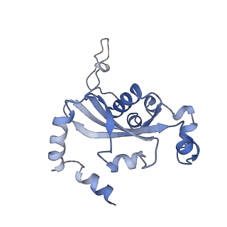 34860_8hku_L15E_v1-0
Cryo-EM Structures and Translocation Mechanism of Crenarchaeota Ribosome