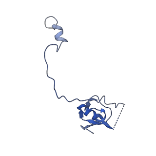 34860_8hku_L15P_v1-0
Cryo-EM Structures and Translocation Mechanism of Crenarchaeota Ribosome