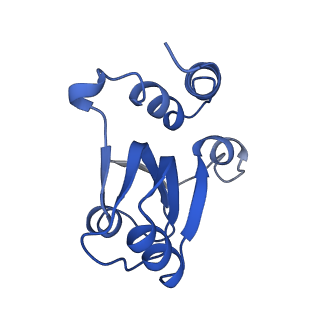 34860_8hku_L18E_v1-0
Cryo-EM Structures and Translocation Mechanism of Crenarchaeota Ribosome