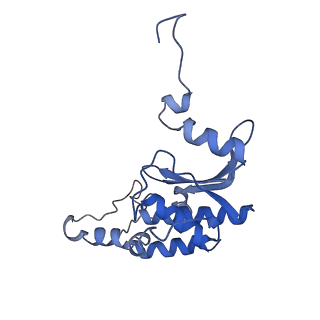 34860_8hku_L18P_v1-0
Cryo-EM Structures and Translocation Mechanism of Crenarchaeota Ribosome