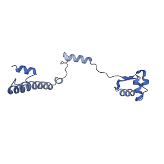 34860_8hku_L19E_v1-0
Cryo-EM Structures and Translocation Mechanism of Crenarchaeota Ribosome