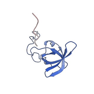 34860_8hku_L21E_v1-0
Cryo-EM Structures and Translocation Mechanism of Crenarchaeota Ribosome