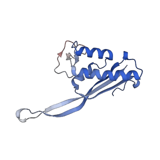 34860_8hku_L22P_v1-0
Cryo-EM Structures and Translocation Mechanism of Crenarchaeota Ribosome