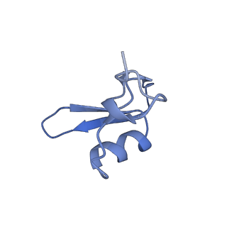 34860_8hku_L24E_v1-0
Cryo-EM Structures and Translocation Mechanism of Crenarchaeota Ribosome