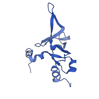 34860_8hku_L24P_v1-0
Cryo-EM Structures and Translocation Mechanism of Crenarchaeota Ribosome