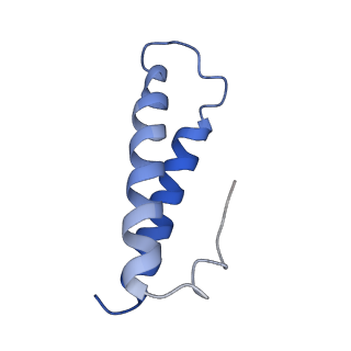34860_8hku_L29P_v1-0
Cryo-EM Structures and Translocation Mechanism of Crenarchaeota Ribosome
