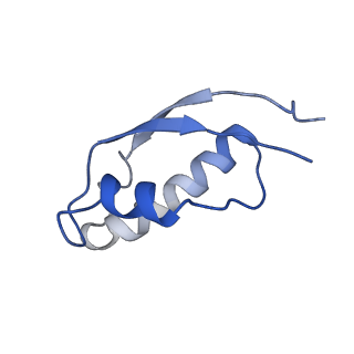 34860_8hku_L31E_v1-0
Cryo-EM Structures and Translocation Mechanism of Crenarchaeota Ribosome