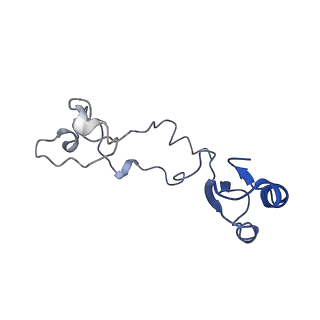 34860_8hku_L32E_v1-0
Cryo-EM Structures and Translocation Mechanism of Crenarchaeota Ribosome