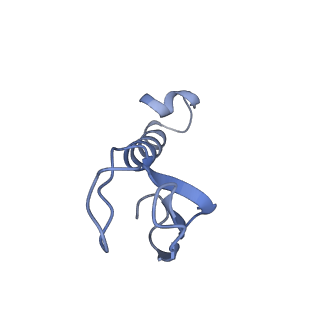34860_8hku_L37A_v1-0
Cryo-EM Structures and Translocation Mechanism of Crenarchaeota Ribosome