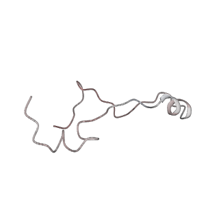 34860_8hku_L39E_v1-0
Cryo-EM Structures and Translocation Mechanism of Crenarchaeota Ribosome