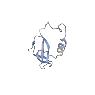 34860_8hku_L44E_v1-0
Cryo-EM Structures and Translocation Mechanism of Crenarchaeota Ribosome