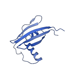 34860_8hku_L45A_v1-0
Cryo-EM Structures and Translocation Mechanism of Crenarchaeota Ribosome