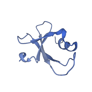 34860_8hku_L46A_v1-0
Cryo-EM Structures and Translocation Mechanism of Crenarchaeota Ribosome