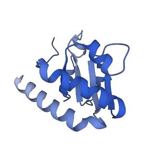 34860_8hku_L7A1_v1-0
Cryo-EM Structures and Translocation Mechanism of Crenarchaeota Ribosome