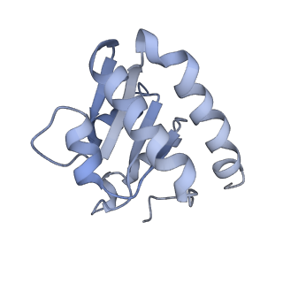 34860_8hku_L7A2_v1-0
Cryo-EM Structures and Translocation Mechanism of Crenarchaeota Ribosome