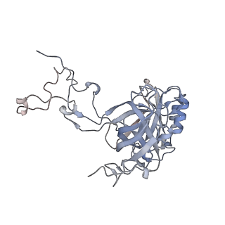 34861_8hkv_AL3P_v1-0
Cryo-EM Structures and Translocation Mechanism of Crenarchaeota Ribosome