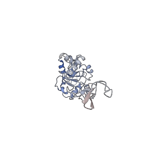 34861_8hkv_AL4P_v1-0
Cryo-EM Structures and Translocation Mechanism of Crenarchaeota Ribosome