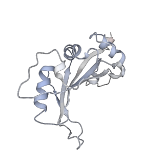 34861_8hkv_AL5P_v1-0
Cryo-EM Structures and Translocation Mechanism of Crenarchaeota Ribosome