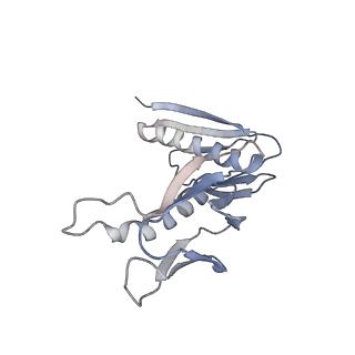 34861_8hkv_AL6P_v1-0
Cryo-EM Structures and Translocation Mechanism of Crenarchaeota Ribosome