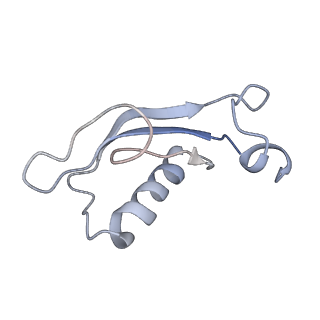 34861_8hkv_ALX0_v1-0
Cryo-EM Structures and Translocation Mechanism of Crenarchaeota Ribosome