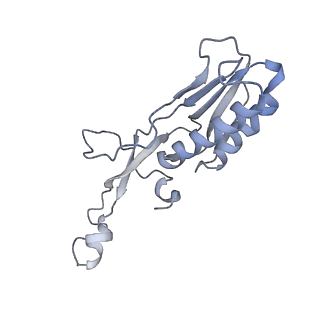34861_8hkv_L10E_v1-0
Cryo-EM Structures and Translocation Mechanism of Crenarchaeota Ribosome