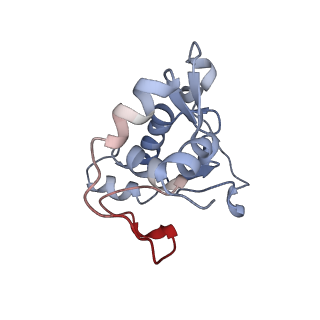 34861_8hkv_L13P_v1-0
Cryo-EM Structures and Translocation Mechanism of Crenarchaeota Ribosome