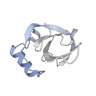 34861_8hkv_L141_v1-0
Cryo-EM Structures and Translocation Mechanism of Crenarchaeota Ribosome