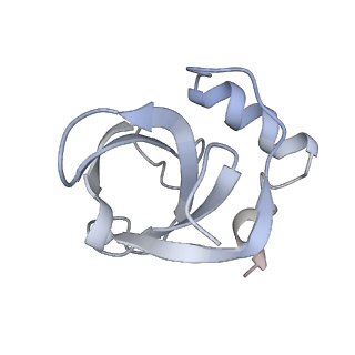 34861_8hkv_L142_v1-0
Cryo-EM Structures and Translocation Mechanism of Crenarchaeota Ribosome
