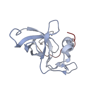 34861_8hkv_L14P_v1-0
Cryo-EM Structures and Translocation Mechanism of Crenarchaeota Ribosome