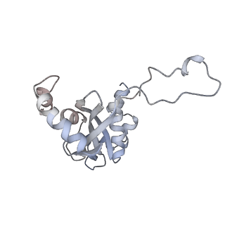 34861_8hkv_L15E_v1-0
Cryo-EM Structures and Translocation Mechanism of Crenarchaeota Ribosome