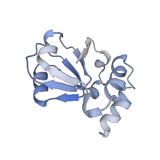 34861_8hkv_L18E_v1-0
Cryo-EM Structures and Translocation Mechanism of Crenarchaeota Ribosome