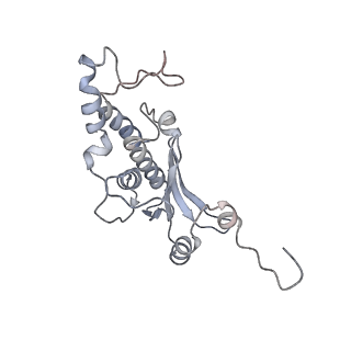 34861_8hkv_L18P_v1-0
Cryo-EM Structures and Translocation Mechanism of Crenarchaeota Ribosome