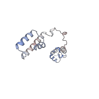 34861_8hkv_L19E_v1-0
Cryo-EM Structures and Translocation Mechanism of Crenarchaeota Ribosome