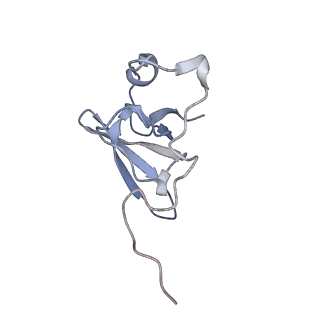 34861_8hkv_L21E_v1-0
Cryo-EM Structures and Translocation Mechanism of Crenarchaeota Ribosome