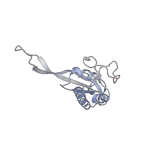 34861_8hkv_L22P_v1-0
Cryo-EM Structures and Translocation Mechanism of Crenarchaeota Ribosome
