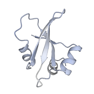 34861_8hkv_L23P_v1-0
Cryo-EM Structures and Translocation Mechanism of Crenarchaeota Ribosome