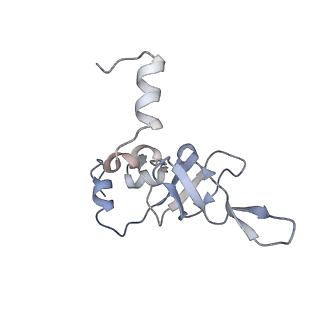 34861_8hkv_L24P_v1-0
Cryo-EM Structures and Translocation Mechanism of Crenarchaeota Ribosome