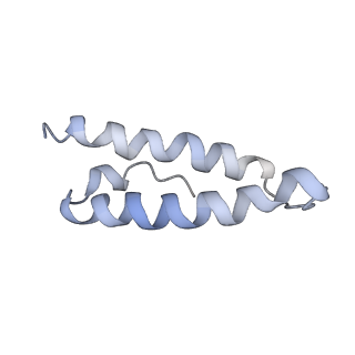 34861_8hkv_L29P_v1-0
Cryo-EM Structures and Translocation Mechanism of Crenarchaeota Ribosome