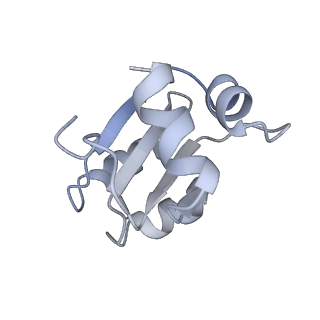 34861_8hkv_L30E_v1-0
Cryo-EM Structures and Translocation Mechanism of Crenarchaeota Ribosome
