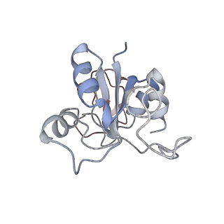 34861_8hkv_L30P_v1-0
Cryo-EM Structures and Translocation Mechanism of Crenarchaeota Ribosome