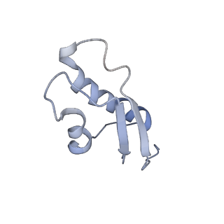 34861_8hkv_L31E_v1-0
Cryo-EM Structures and Translocation Mechanism of Crenarchaeota Ribosome