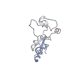 34861_8hkv_L32E_v1-0
Cryo-EM Structures and Translocation Mechanism of Crenarchaeota Ribosome