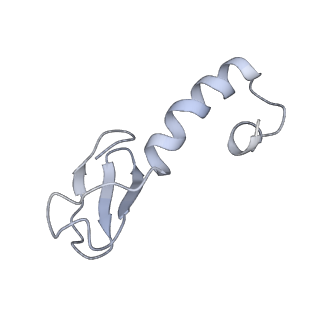 34861_8hkv_L37A_v1-0
Cryo-EM Structures and Translocation Mechanism of Crenarchaeota Ribosome