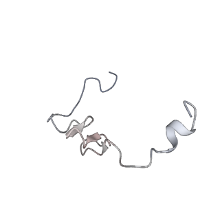 34861_8hkv_L37E_v1-0
Cryo-EM Structures and Translocation Mechanism of Crenarchaeota Ribosome