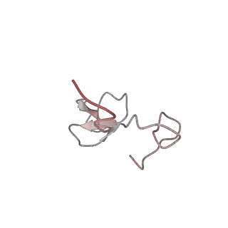 34861_8hkv_L40E_v1-0
Cryo-EM Structures and Translocation Mechanism of Crenarchaeota Ribosome