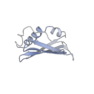 34861_8hkv_L45A_v1-0
Cryo-EM Structures and Translocation Mechanism of Crenarchaeota Ribosome