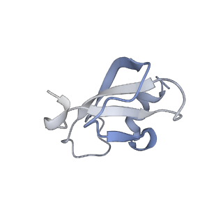 34861_8hkv_L46A_v1-0
Cryo-EM Structures and Translocation Mechanism of Crenarchaeota Ribosome